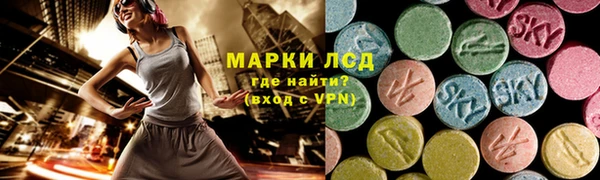 spice Богородицк